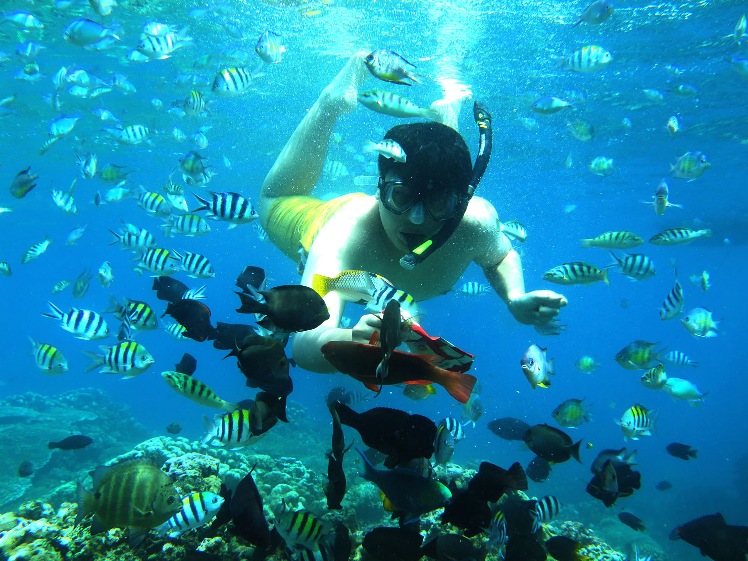snorkeling-at-olele-by-sulawesiwisata-1